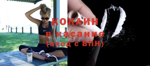 амф Гусев