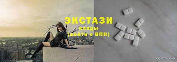 амф Гусев