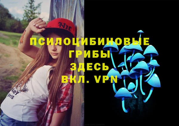 прущие крисы Гусиноозёрск