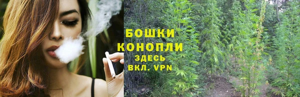 экстази Горняк