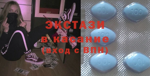 амф Гусев