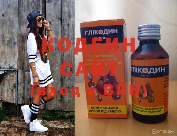амф Гусев
