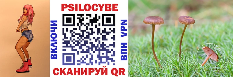 Купить где  Бахчисарай  Галлюциногенные грибы мухоморы 